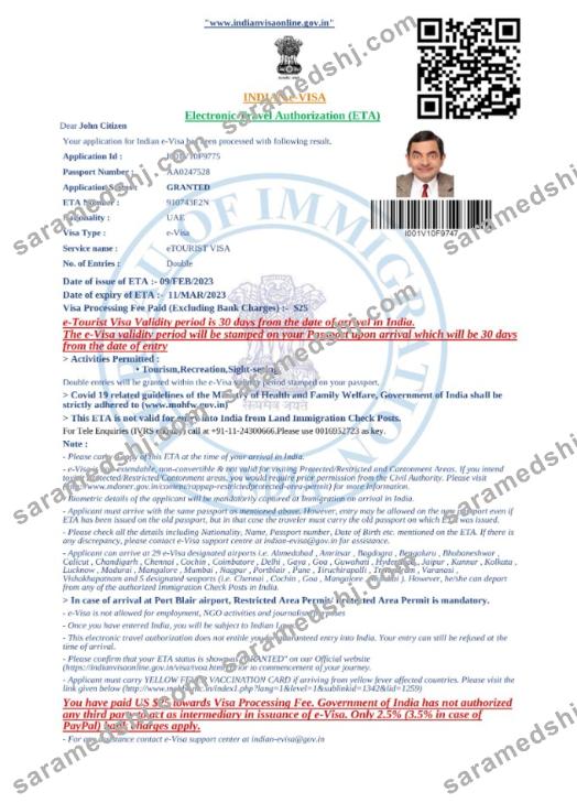 India e-visa in Word and PDF template